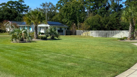 Grasshopper Commercial Edging