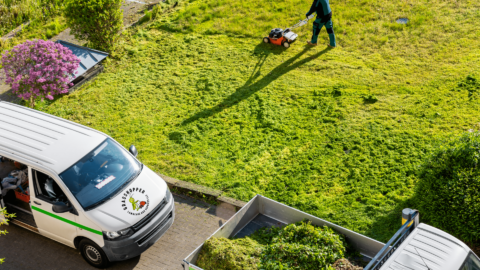 Grasshopper Lawn Maintenance